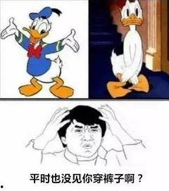 吃瓜视频弱智动画