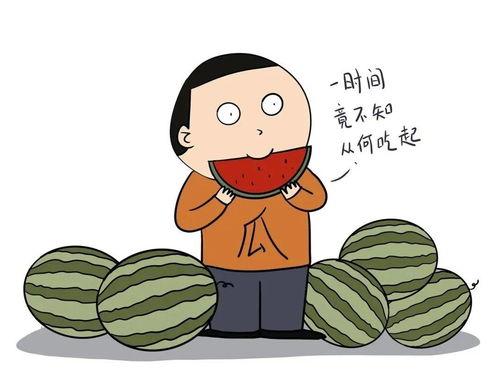 我要吃瓜带你吃瓜,畅游娱乐圈瓜田
