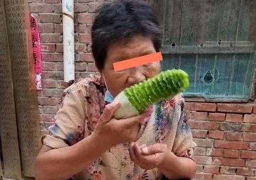 婆婆给媳妇吃瓜,瓜果飘香，家的味道