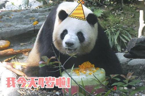 开心吃瓜吃蛋糕表情包,表情包里的欢乐时光