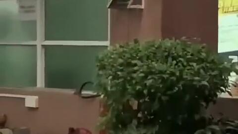 建始吃瓜新闻