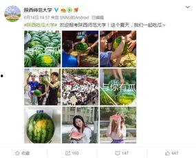 大学吃瓜体育生
