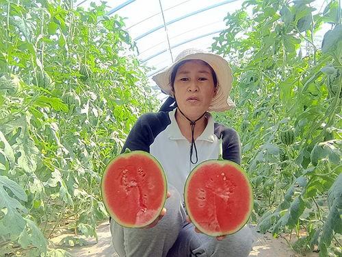 吃小吊瓜,夏日消暑佳品，美味与健康的完美结合
