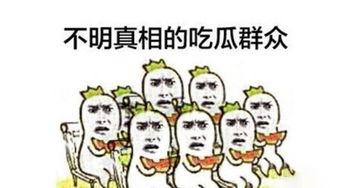 9494吃瓜群众,揭秘网络热议背后的真相