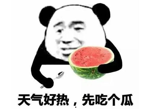 带你吃瓜我吃货表情包,感受吃货表情包的魅力