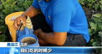 武冈吃瓜现场视频,全民围观，一场别开生面的“瓜界盛宴”