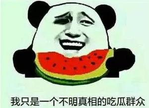 吃瓜群众适合的网名,揭秘吃瓜群众的趣味网名世界